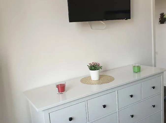 Eddy's Sunshine Quedlinburg